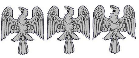 allerions (3)