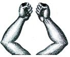 arms (2)