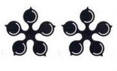 cinquefoils (2)