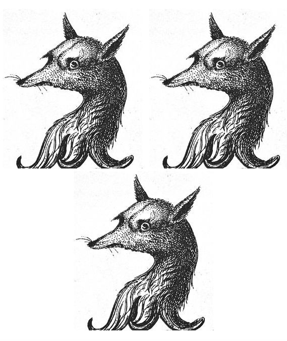 foxes heads (3)