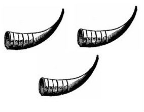 hunting horns (3)