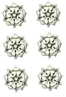 roses (6)