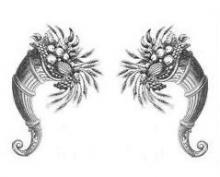 cornucopias (2)