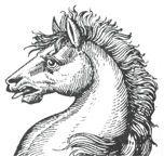 horses heads (2)